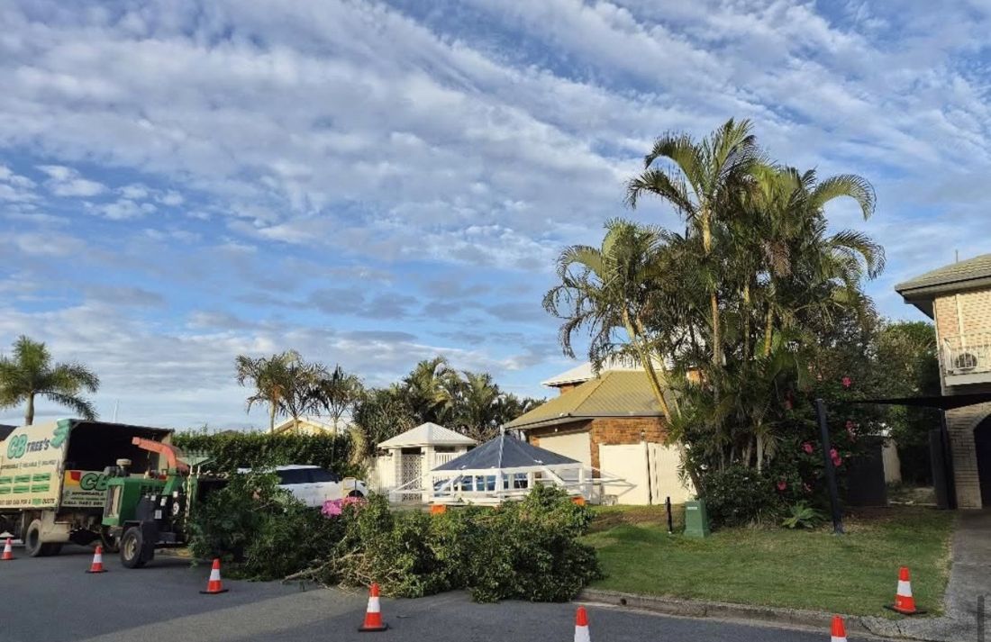 The CB Trees truck and chipper parked on a street beside cut green waste