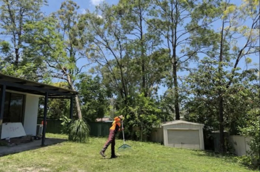 A crew member raking the lawn clean after tree work